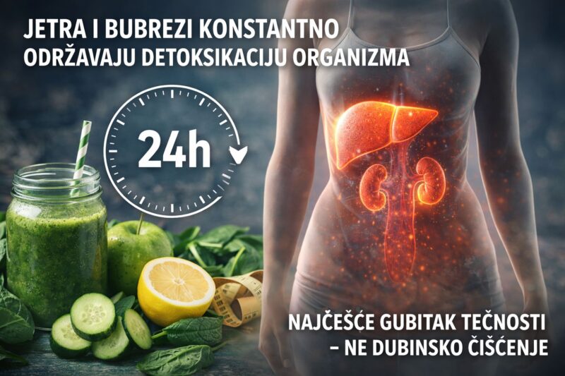 Ilustracija koja prikazuje kontinuirani rad jetre i bubrega u filtriranju toksina tokom 24 sata, uz simboličan prikaz hidratacije i zdrave ishrane